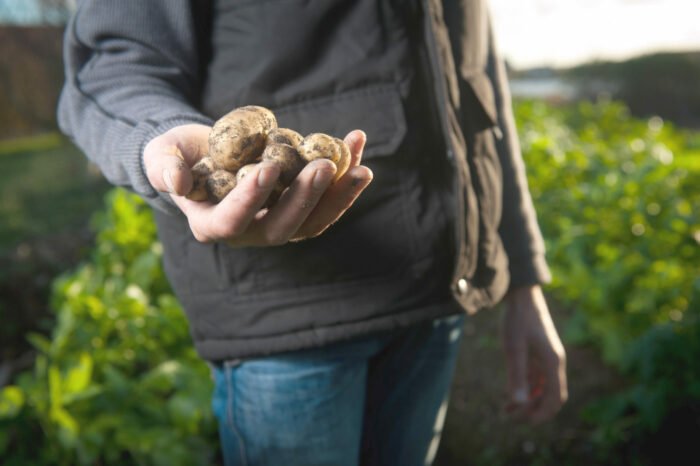 MAIN-TOOL-Agrarfrost